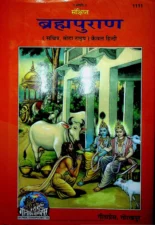 Brahma Puran Gita Press (ब्रह्म पुराण गीता प्रेस) PDF